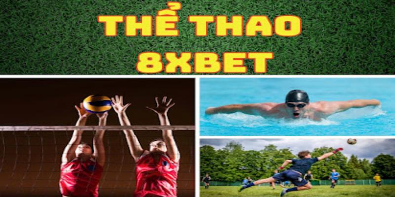 Cá cược thể thao 8xbet đa dạng