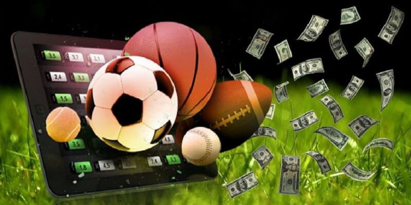 Cần nắm chắc thể loại khuyến mãi 8xbet mà mình tham gia